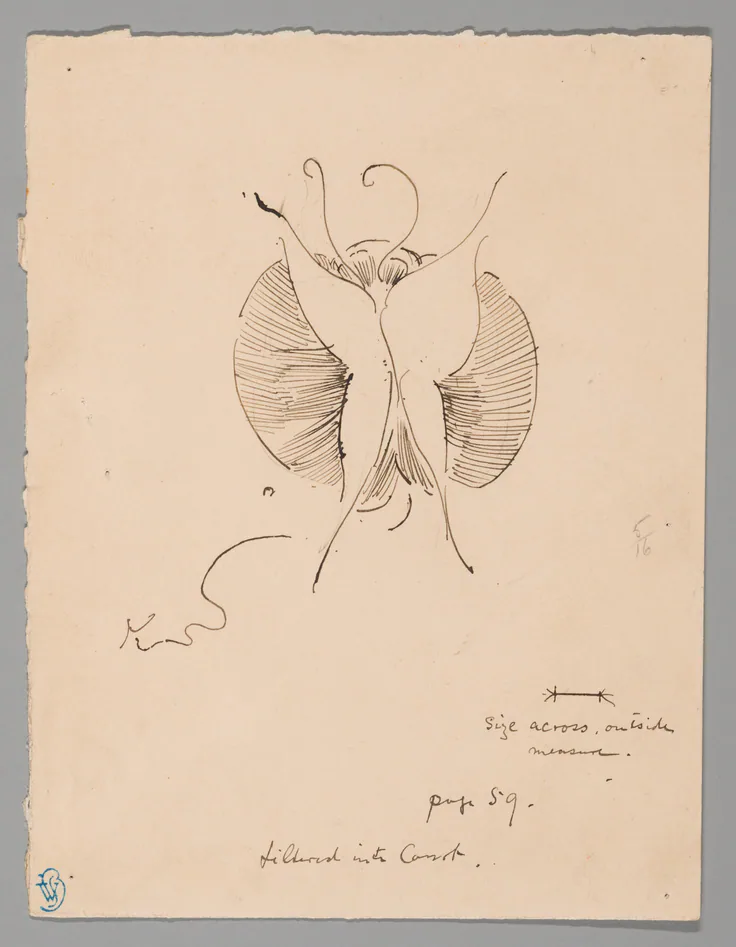 Butterfly (recto); Fragment of Butterfly (verso): pen and ink drawings by James McNeill Whistler, 1898/99.