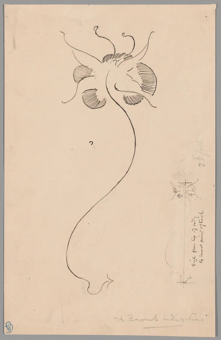 Butterfly (recto); Study of Butterfly (verso): pen and ink drawings by James McNeill Whistler, 1898/99.
