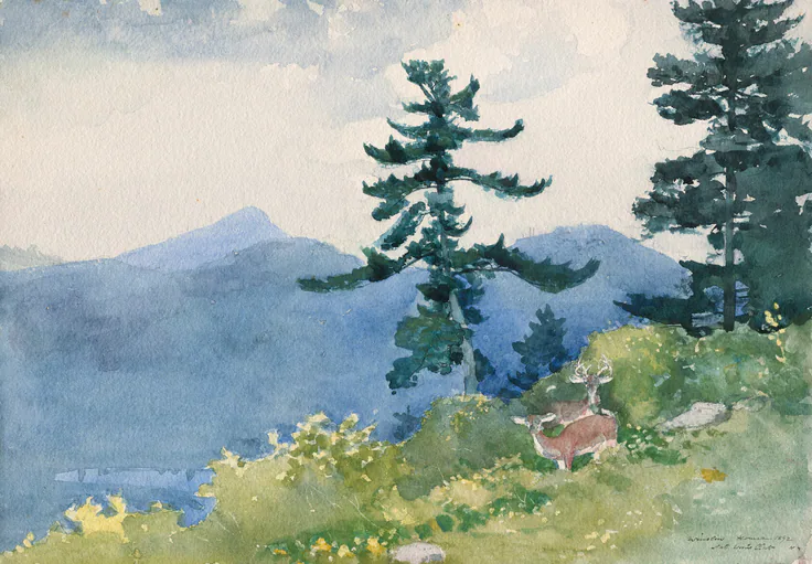 North Woods Club, Adirondacks (The Interrupted Tete-a-Tete): drawings (visual works) by Winslow Homer, 1892.