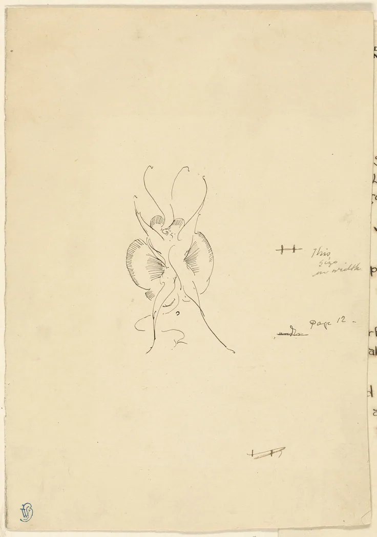 Butterfly: pen and black ink on cream wove card by James McNeill Whistler, 1898/99.