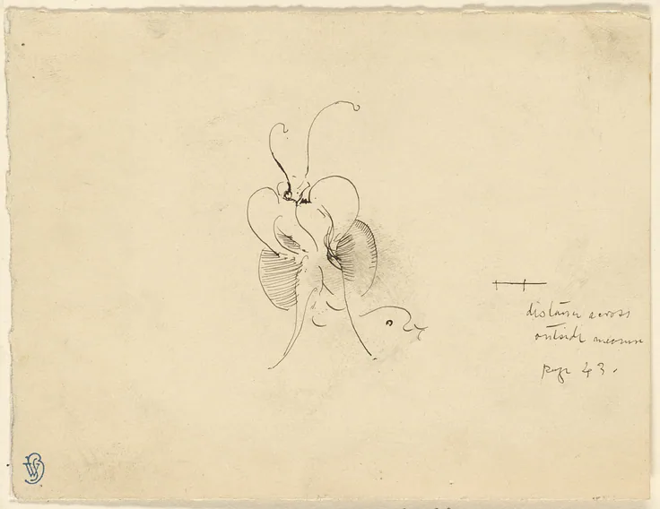 Butterfly: pen and black ink on cream wove card by James McNeill Whistler, 1898/99.