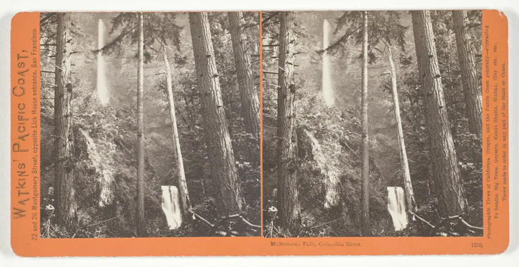 Multnomah Falls, Columbia River, No. 1239 from the series "Watkins' Pacific Coast": albumen print, stereo by Carleton E. Watkins, 1867.