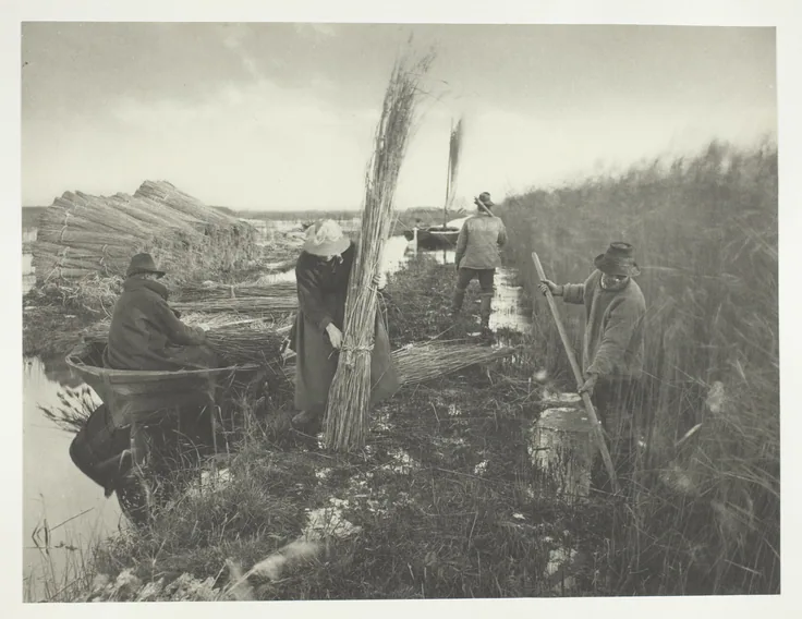 During the Reed Harvest: platinum print by Peter Henry Emerson, 1886.