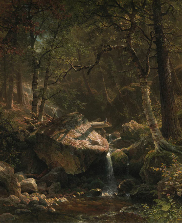Mountain Brook: oil on canvas by Albert Bierstadt, 1863.