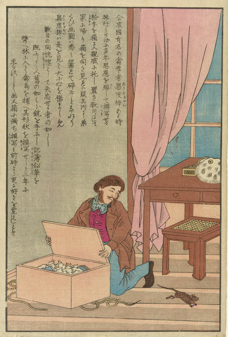 John James Audubon discovering his drawings eaten by a rat: color woodblock print; oban by Artist unknown, 1870s.
