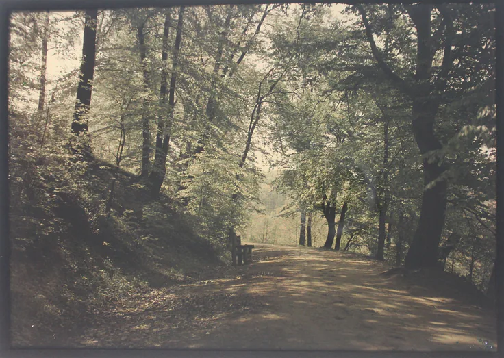 Untitled: autochrome by Artist unknown, c. 1880.