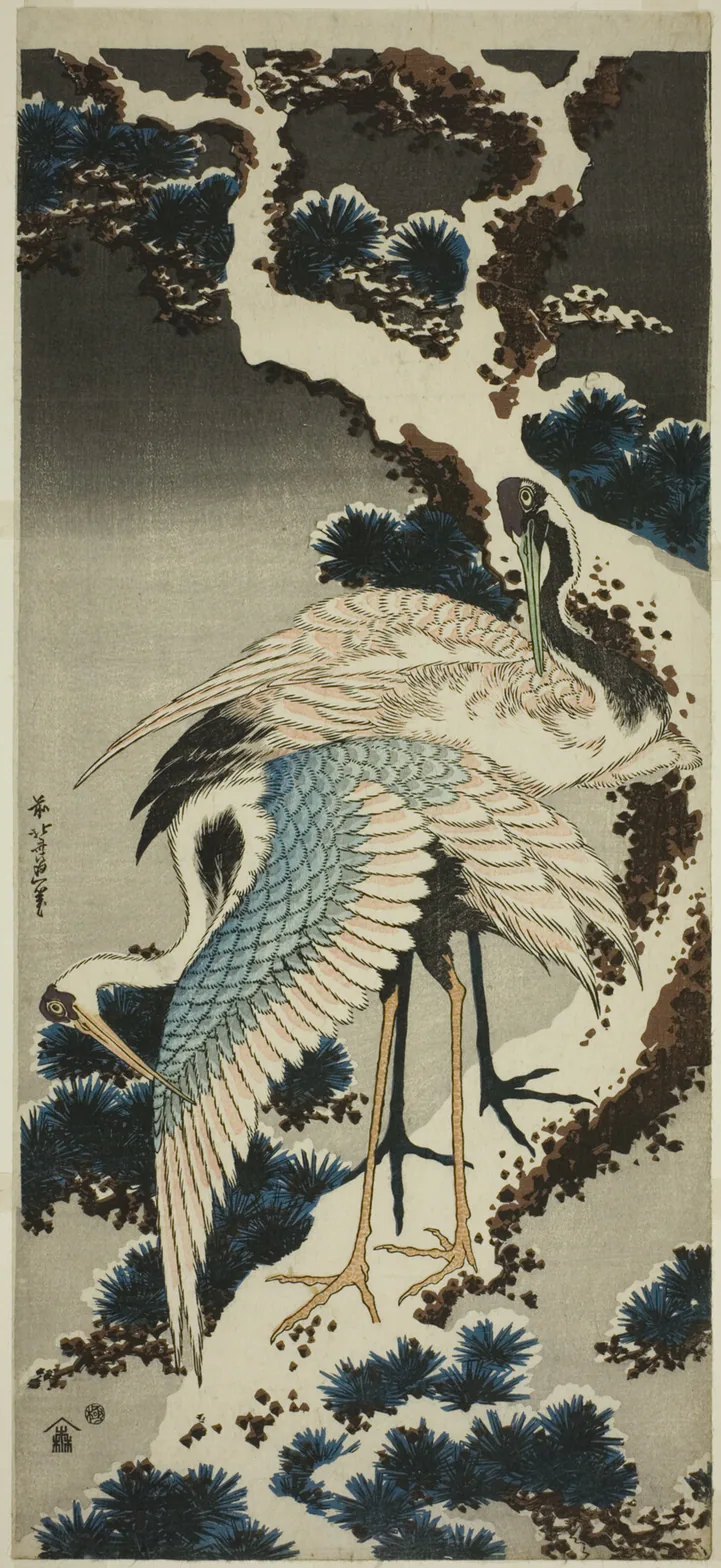 Cranes on snow-covered pine: color woodblock print; vertical nagaban by Katsushika Hokusai 葛飾 北斎, c. 1834.