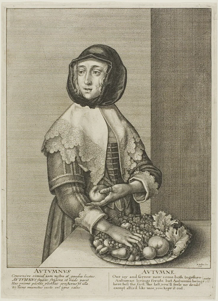 Autumn: etching on ivory laid paper by Wenceslaus Hollar, 1641.