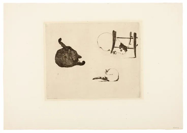 The Cats: etching by Édouard Manet, 1868–69.