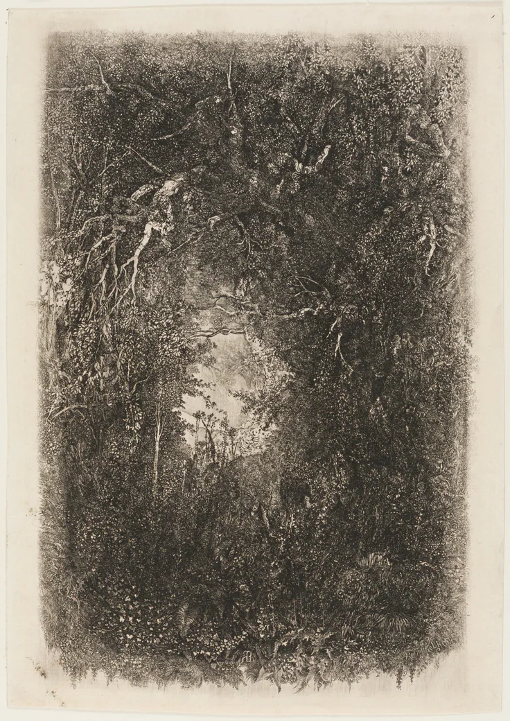 Clearing in the Forest: etching on cream laid paper by Rodolphe Bresdin, 1880.