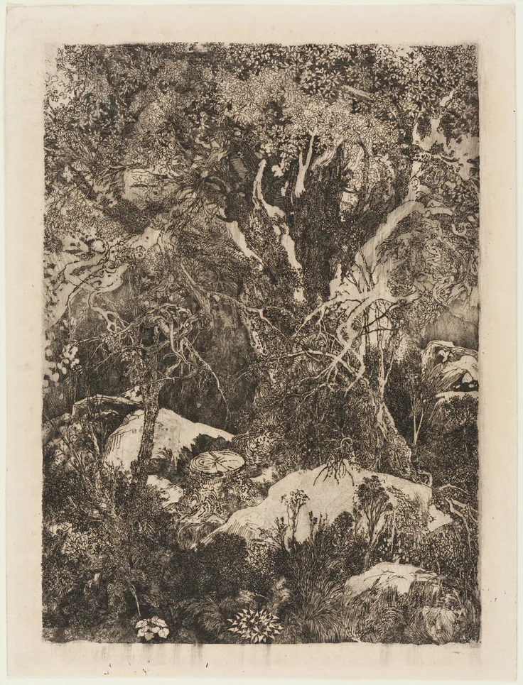 The Forest of Fontainebleau: etching and drypoint in black ink on cream laid paper by Rodolphe Bresdin, 1880.