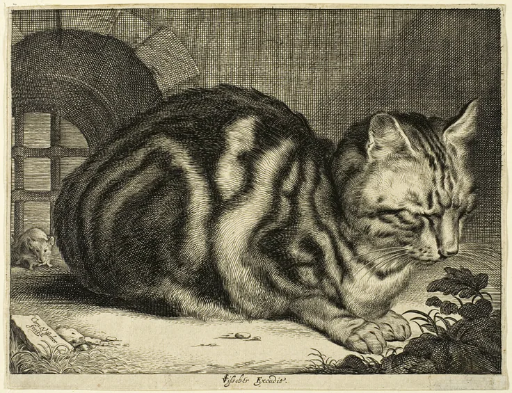 The Large Cat: engraving on ivory paper by Cornelis Visscher, 1657.