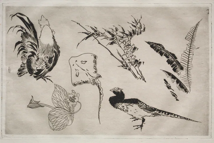 Dinner Service (Rousseau service): Roosters, skate, plants, etc. (no. 9): etching by Félix Bracquemond, 1866.