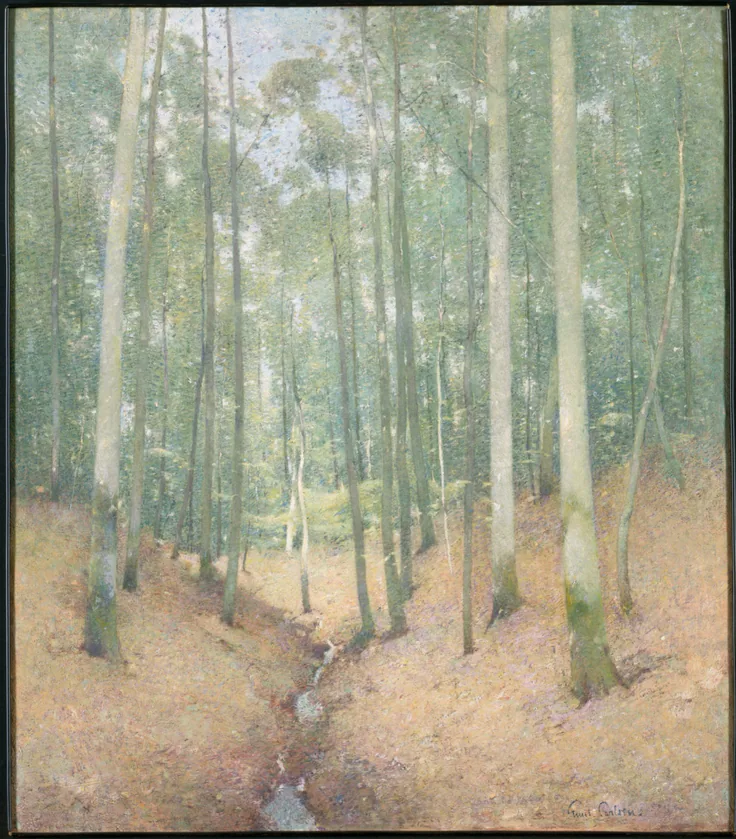 Slender pale trunks in a quiet woodland, a thin stream running through dry rust-colored leaves; soft green and pink haze.