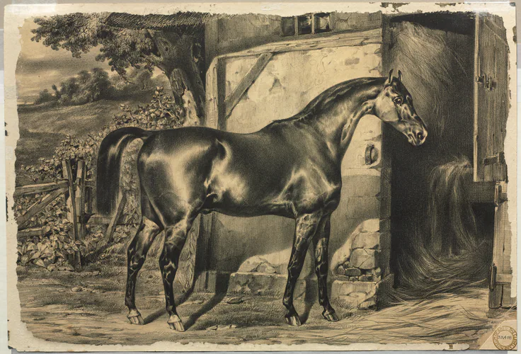 Horse in Front of a Barn (verso): lithograph, c. 1820.