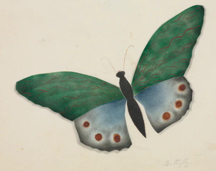 Butterfly: watercolor by Mary Altha Nims, 1800s.