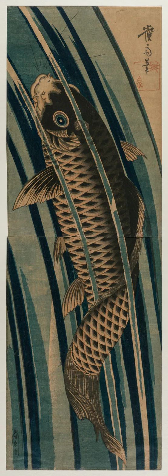 Carp Ascending a Waterfall: color woodblock print by Keisai Eisen, early or mid-1830s.