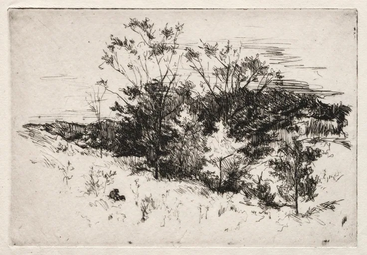 Autumn Landscape: etching by John Henry Twachtman, 1879–80.