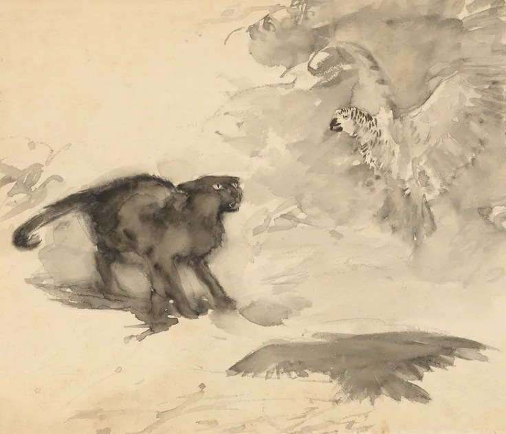 A bristling black cat faces a parrot flapping above it, in loose sepia ink washes.