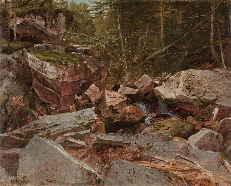 Study, North Conway, New Hampshire: oil on canvas by David Johnson, 1851.