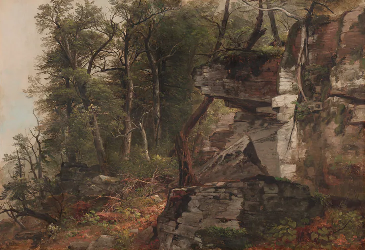 Trees on a Rocky Hillside: oil on canvas by Asher B. Durand, c. 1849.