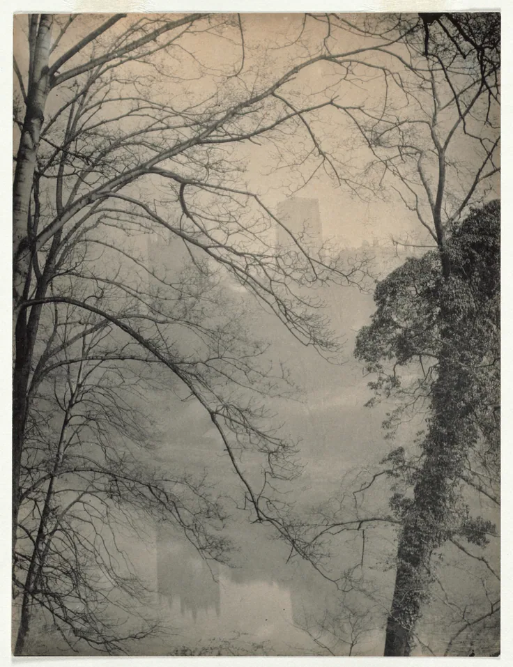 Bare branches lace across the frame in front of a cathedral tower half lost in mist; pale ivory and grey.
