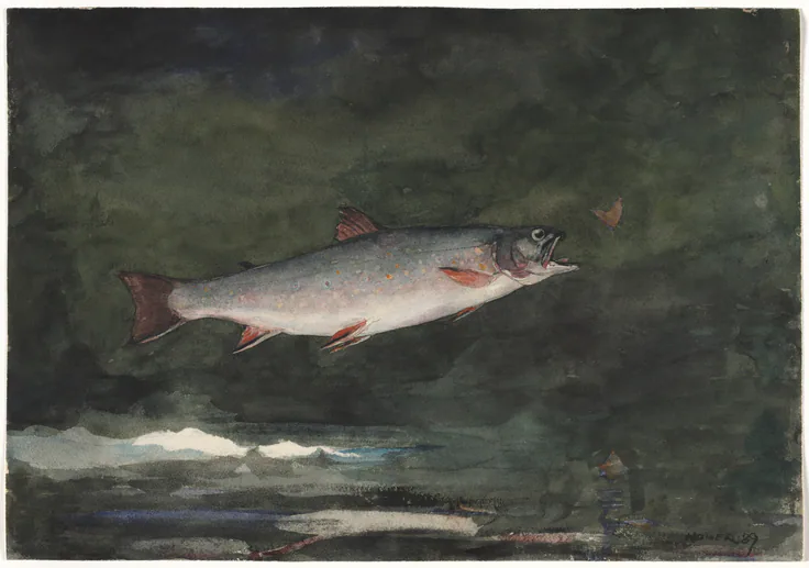 Leaping Trout: watercolor over graphite by Winslow Homer, 1889.