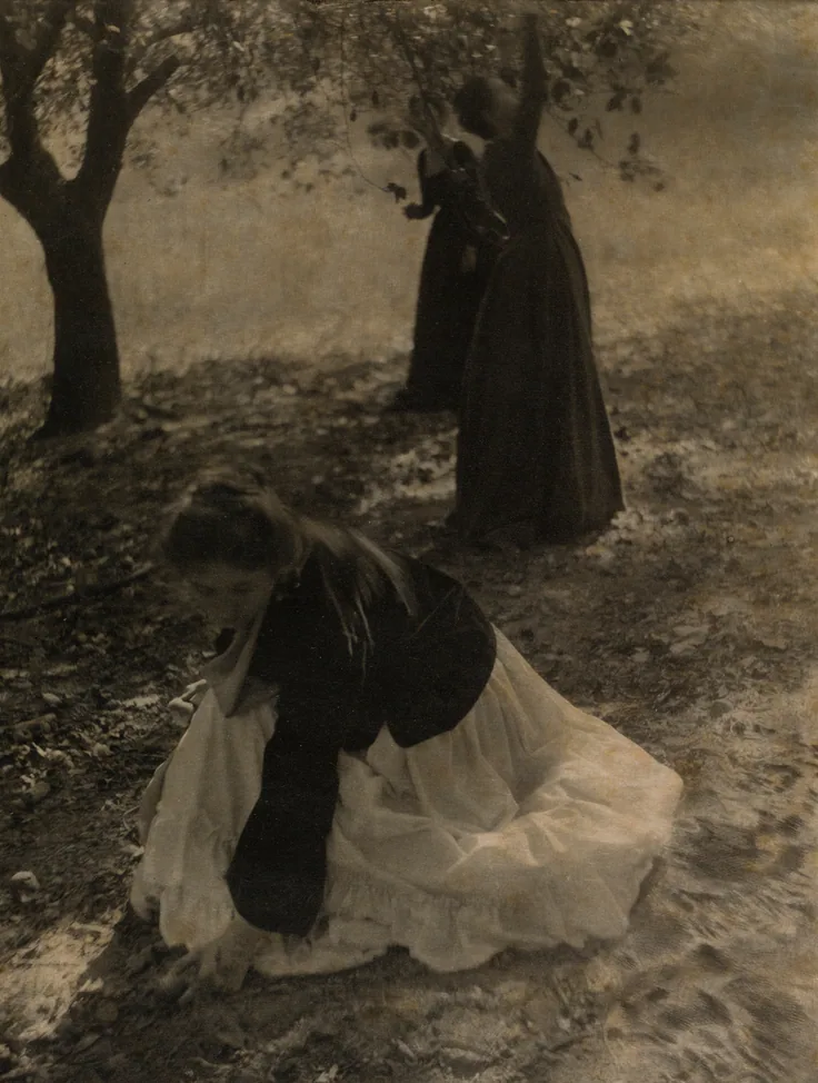 The Orchard: photogravure by Clarence H. White, 1902 (printed 1905).