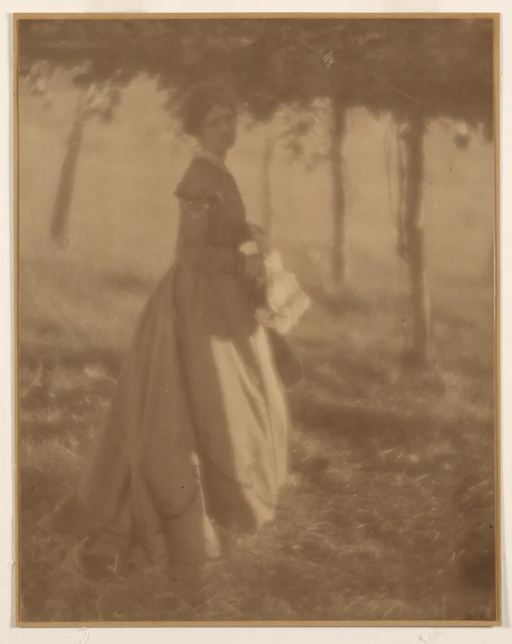In the Arbor: platinum print with graphite by Clarence H. White, 1906.