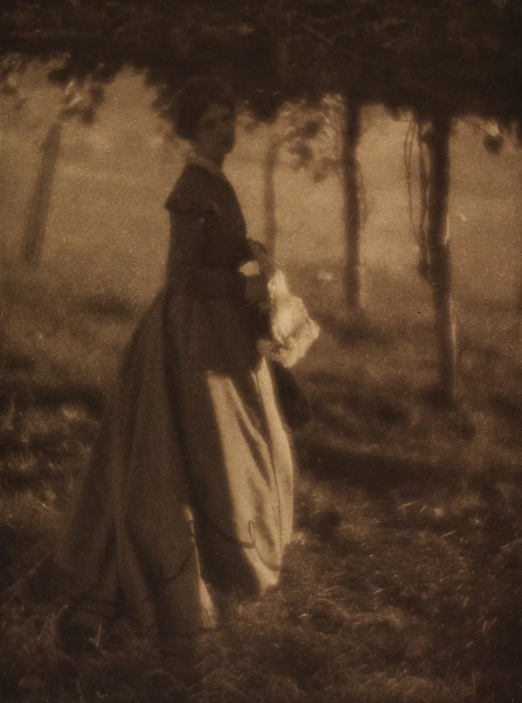 The Arbor: photogravure by Clarence H. White, 1906 (printed 1908).