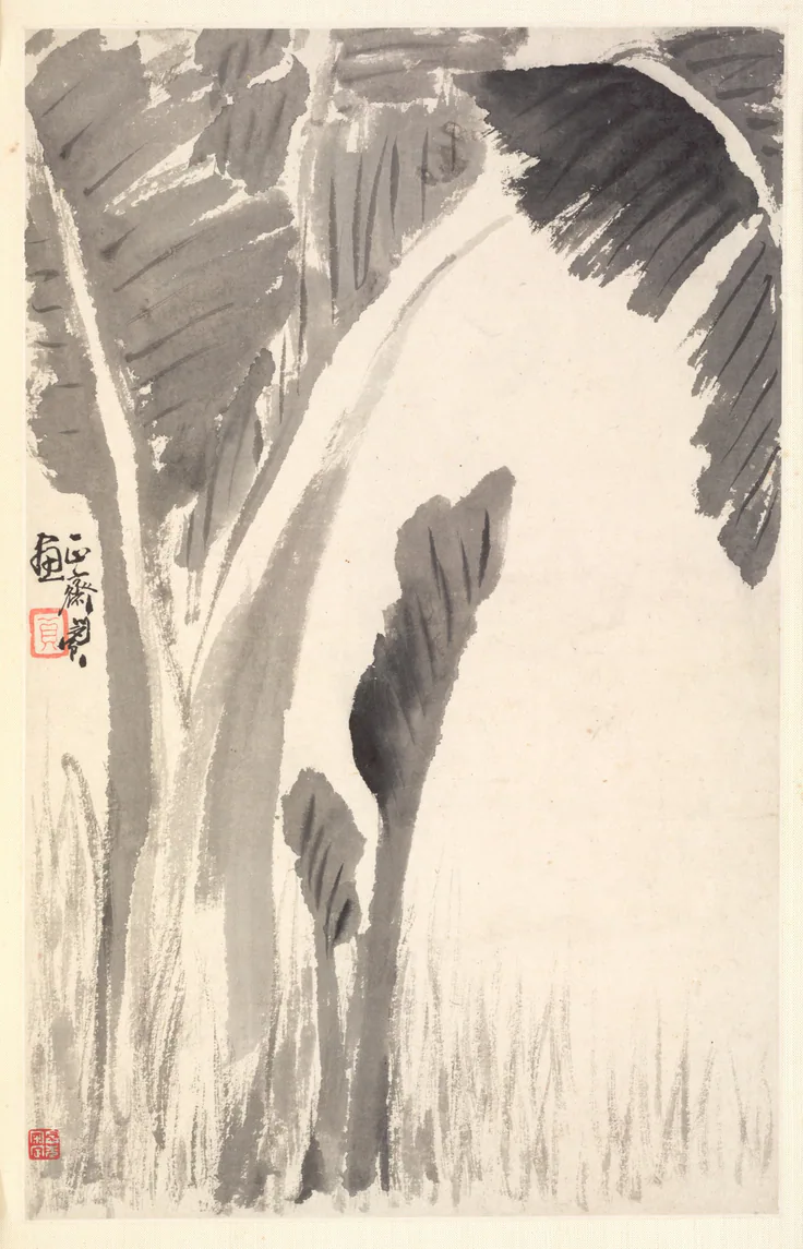 Banana Plants: album leaf, ink on paper by Min Zhen, 1788.