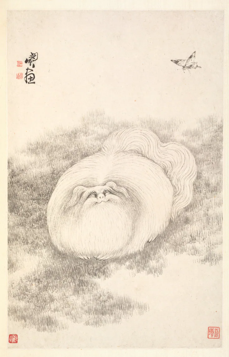 Cat and Butterfly: album leaf, ink on paper by Min Zhen, 1788.