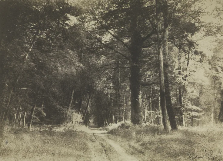 A sandy path runs between tall trees and grasses into a sun-dappled forest; early paper-negative print in soft greenish sepia.