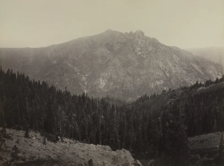 A craggy grey peak rises above a dense dark conifer forest; misty air flattens the far ridges into pale layers.