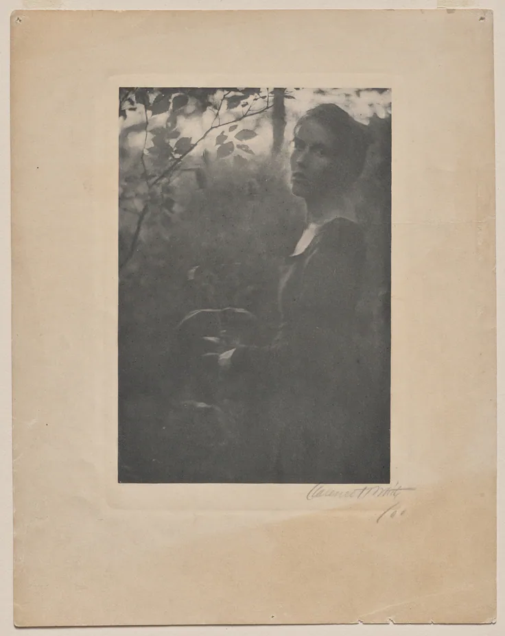 The Edge of the Wood - Evening (Letitia Felix): photogravure by Clarence H. White, 1900.