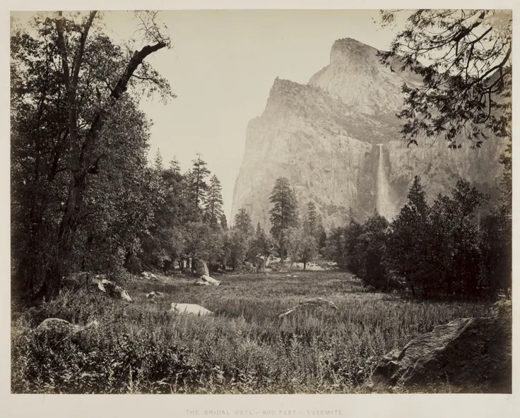 A granite cliff with the thin plume of Bridal Veil Fall, framed by tall conifers above a grassy valley floor; soft warm grey albumen tones.