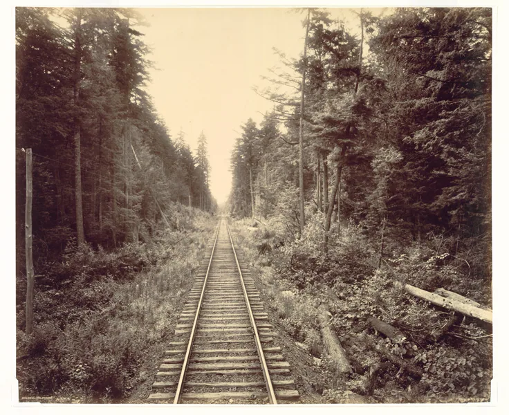 A single railroad track runs straight into a tall, dark hemlock forest, ferns and fallen logs along the bed; warm sepia.