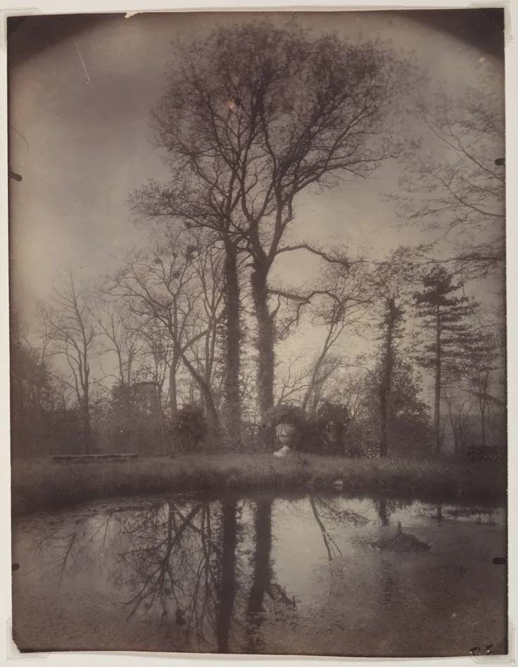 Bare spring trees mirrored in a still pond in early morning light; soft vignetted edges and misty silver-brown tones.