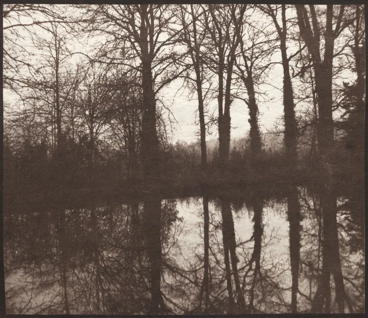 Bare winter trees mirrored in a still pond; an early paper-negative print in deep red-brown.