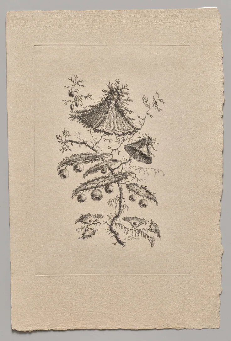 Persian Flowers: etching by Jean Baptiste Pillement, 1755.