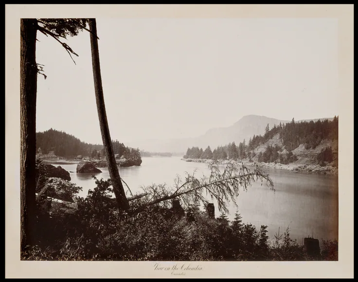 View on the Columbia, Cascades: albumen silver print from glass negative by Carleton E. Watkins, 1867.