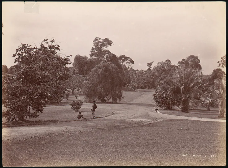 Botanical Garden: albumen silver print from glass negative by Unknown, 1860s–70s.