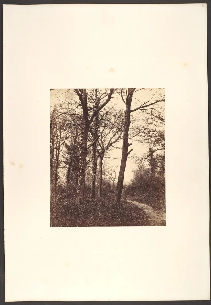Winter: albumen silver print from glass negative by Charles Conway, 1855.