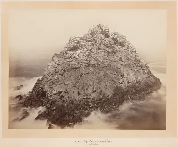 Sugar Loaf Islands, Farallons: albumen silver print from glass negative by Carleton E. Watkins, 1868–69.