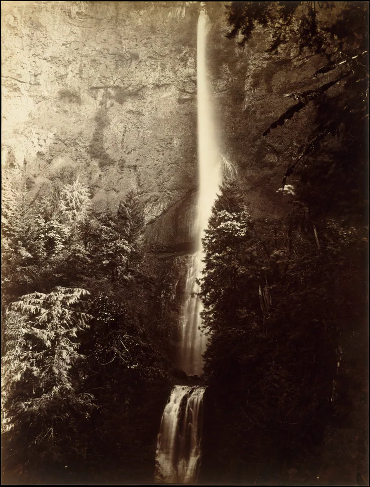 Multnomah Falls Cascade, Columbia River: albumen silver print from glass negative by Carleton E. Watkins, 1867.