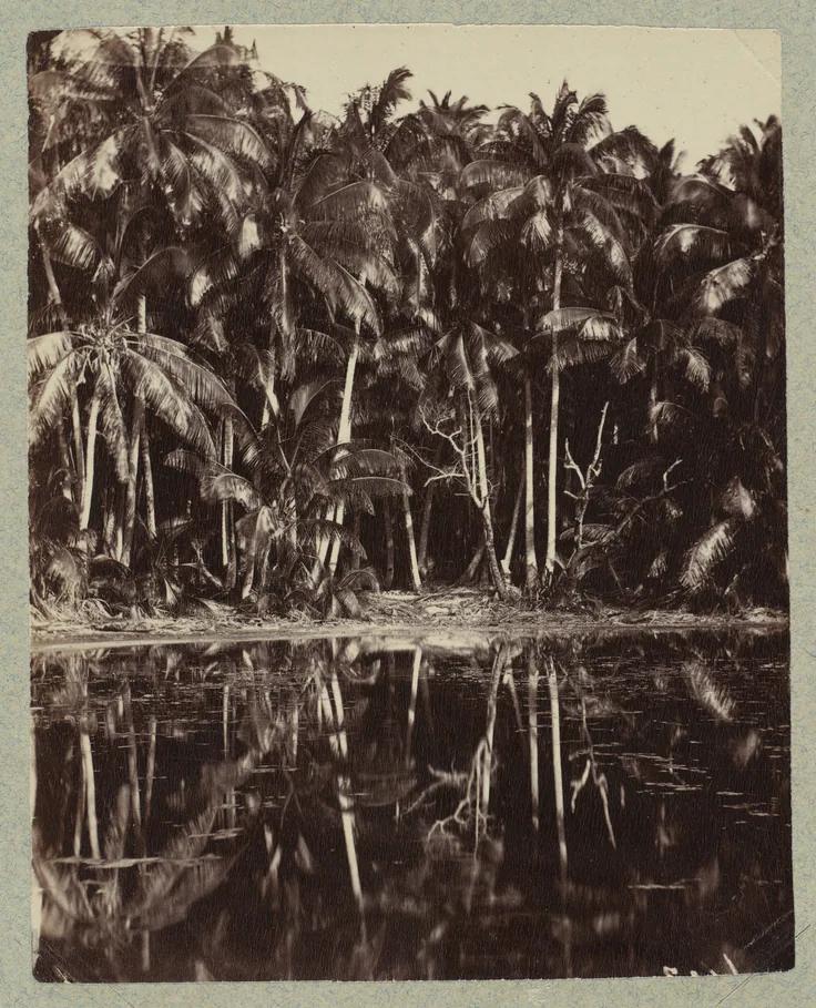 Tetiaroa - Un lagon des Paumotu: albumen print by Charles Spitz, 1880s or 1890s.