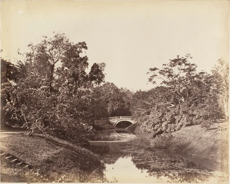 [Botanical Gardens, Calcutta]: albumen silver print by Captain R. B. Hill, 1850s.
