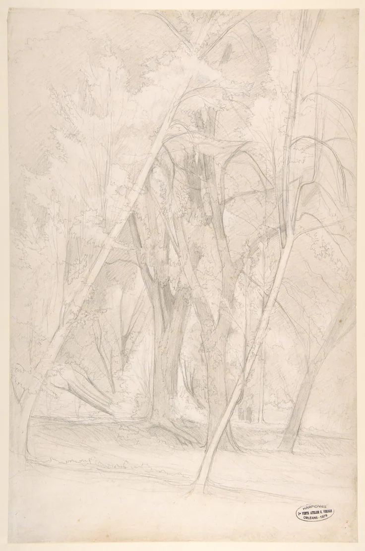 Forest Interior: graphite by Henri-Joseph Harpignies, 1835–1916.