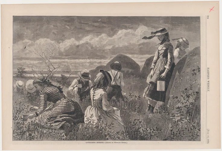Gathering Berries (from "Harper's Weekly," Vol. XVIII): wood engraving by Winslow Homer, July 11, 1874.