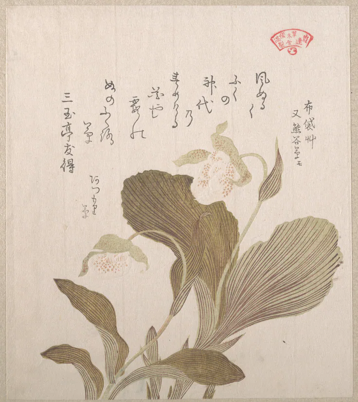 Hotei Flowers: print by Kubo Shunman, 19th century.